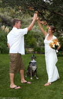 ens and Hound Pet Photography in Scottsdale